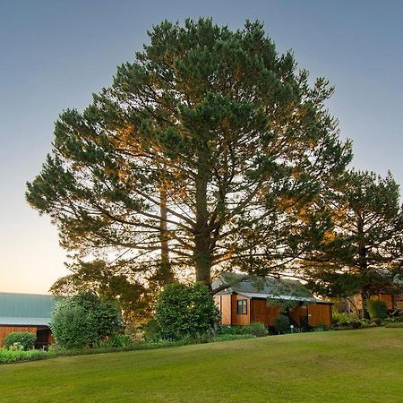 Arendsrus Country Resort Molen Drift Exterior foto