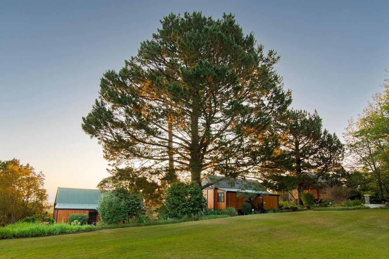 Arendsrus Country Resort Molen Drift Exterior foto