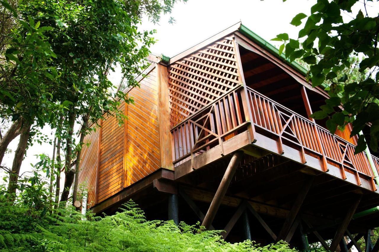 Arendsrus Country Resort Molen Drift Exterior foto