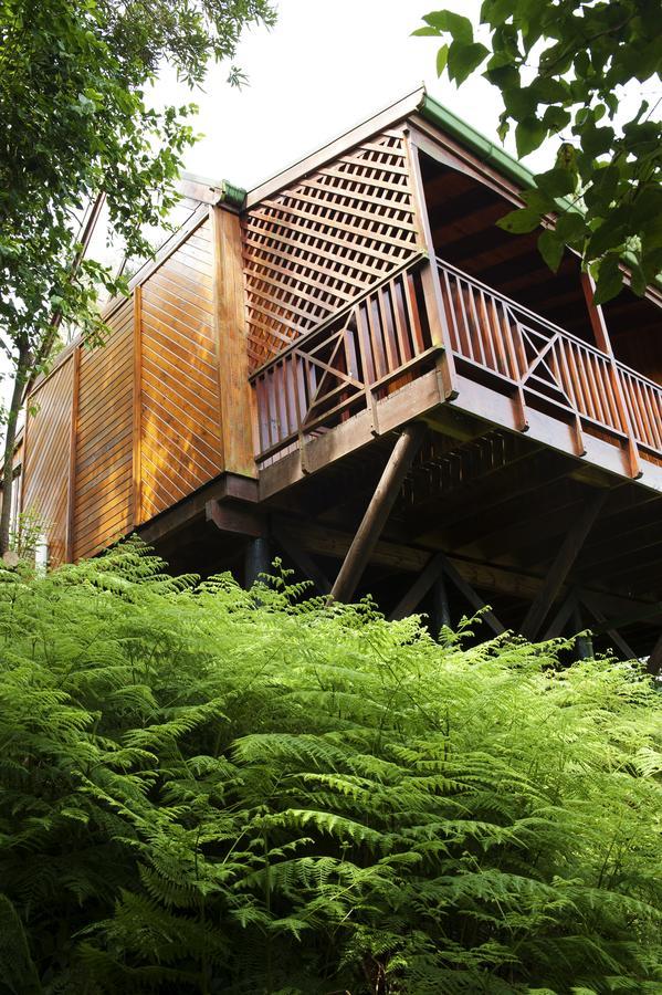 Arendsrus Country Resort Molen Drift Exterior foto